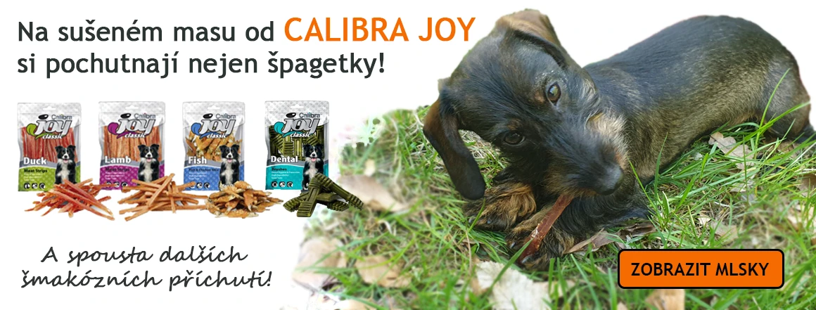 Spagetka doporucuje