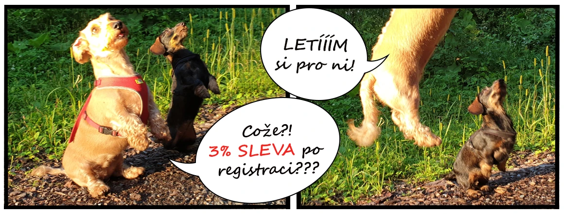 Spagetka doporucuje