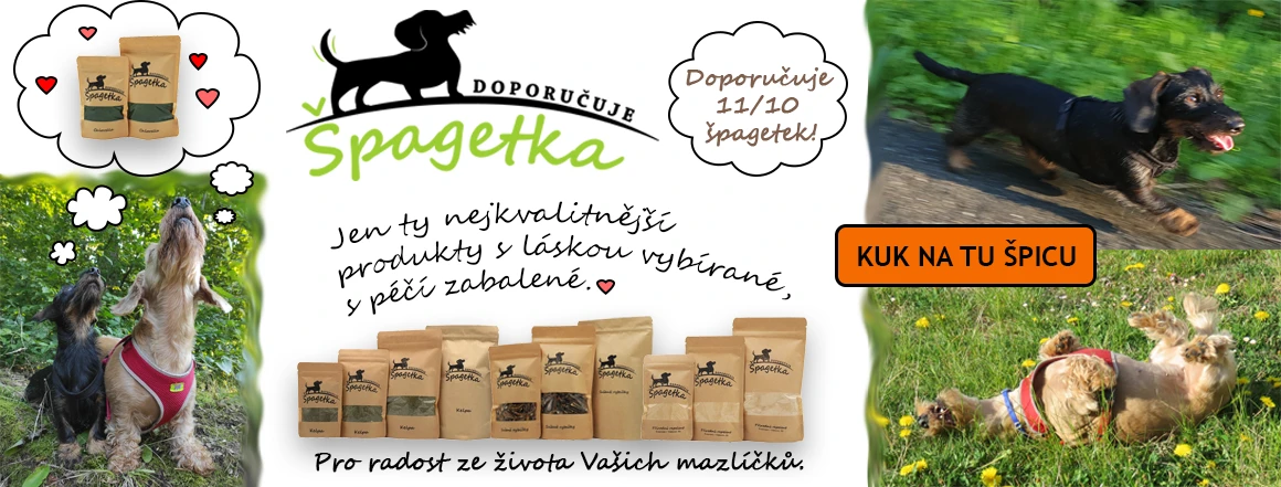Spagetka doporucuje