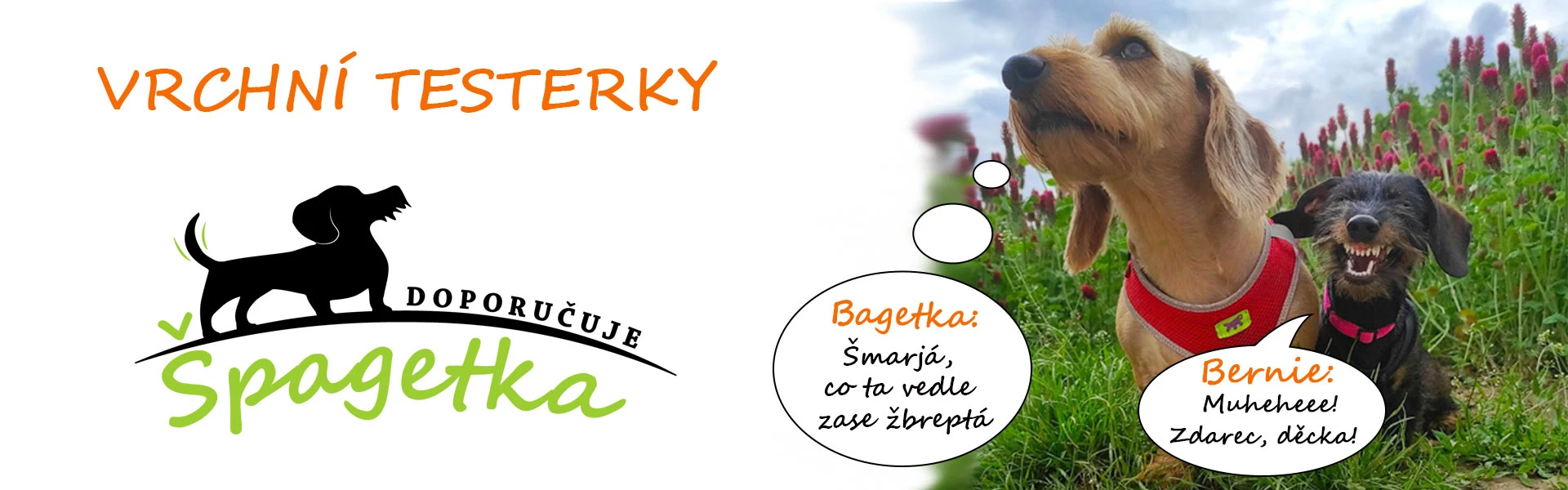 Špagetka doporučuje